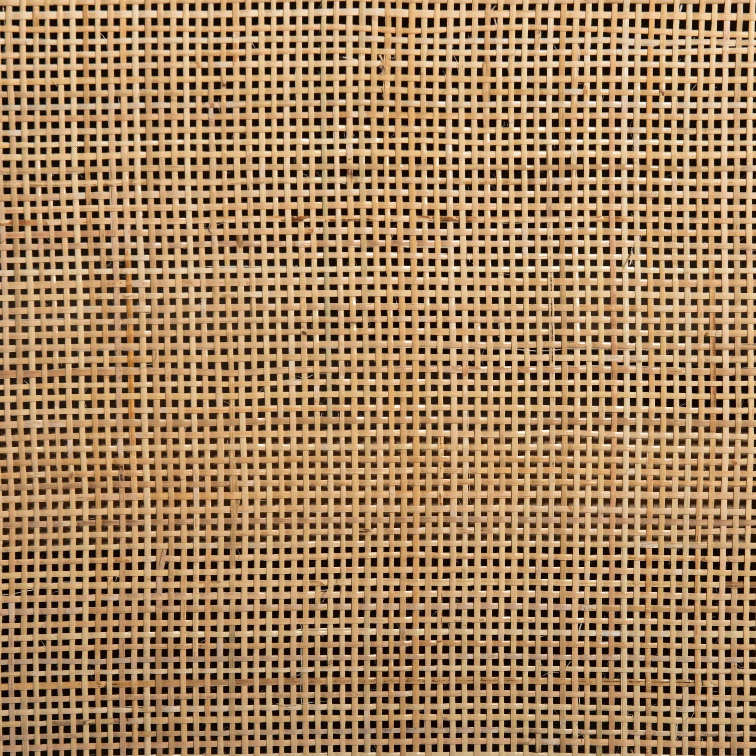Caprice Wide Bookshelf, Natural