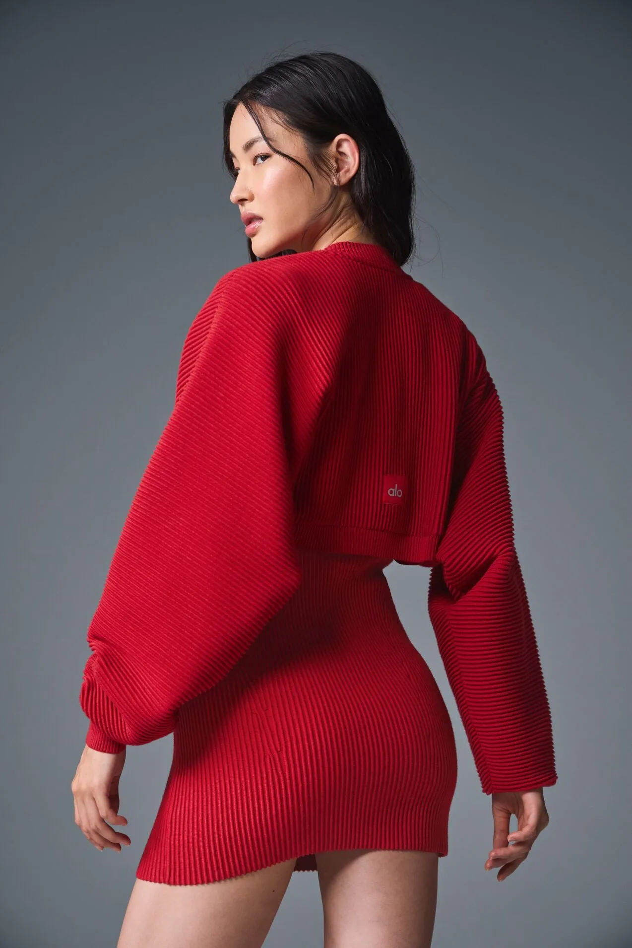 Denim Knit Mini Dress - Bold Red/Dark Bold Red