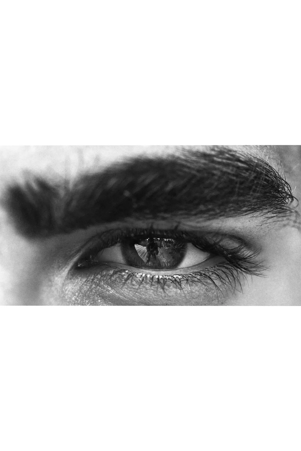 Monochromatic Eye Portrait | Eichholtz Philippe Vogelenzang - The Gaze